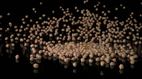 Dried chickpeas falling slow motion Stock Footage 105278558