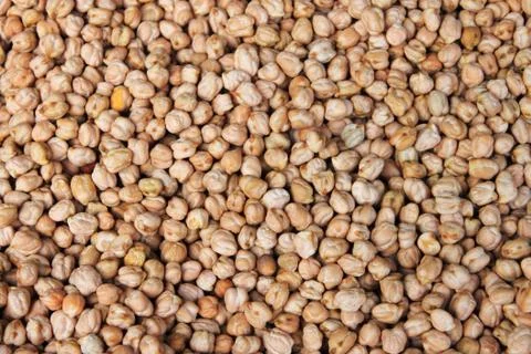 Dried chickpeas Stock Photos