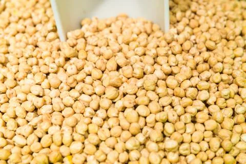Dried chickpeas Fotos de archivo