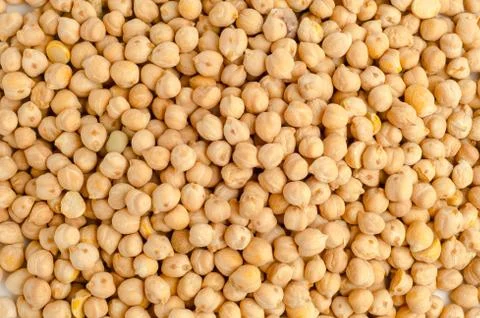 Dried chickpeas Photos