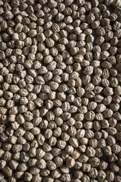 Dried chickpeas on a textured surface background Stock Photos