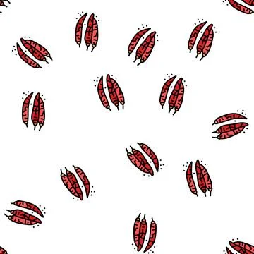 Dried chili pepper vector seamless pattern Stock Illustration