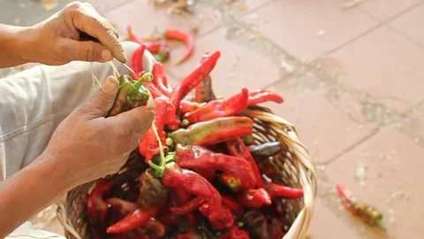 Dried chili peppers Stock Footage 129397387