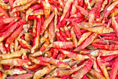 Dried Chili Photos