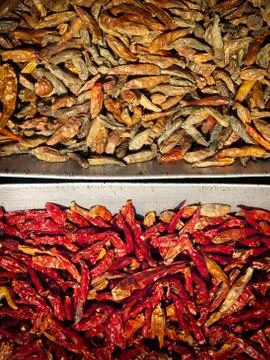 Dried chili Foto stock