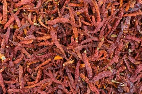 Dried chilies Stock Photos