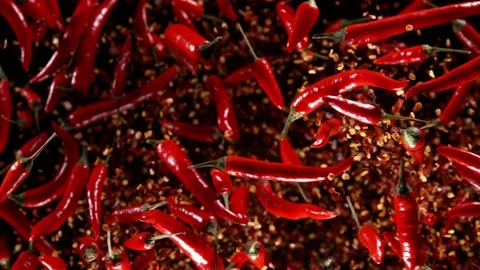 Dried chilli peppers explosion. Slow Motion. Stock Footage 201595803