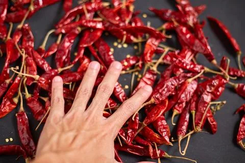 Dried chilli peppers Stock Photos