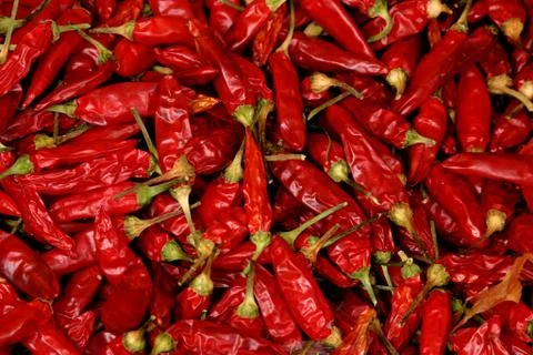 Dried chilli Stock Photos