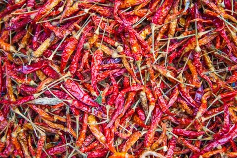 Dried chilli. Stock Photos