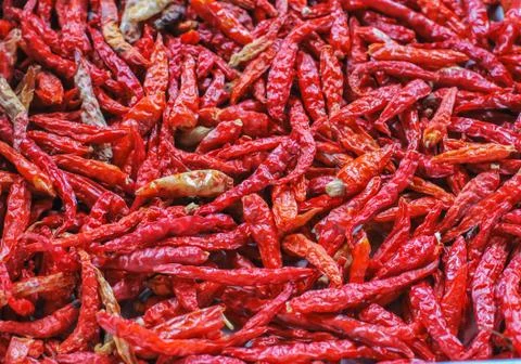 The dried chilli Stock Photos