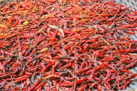 The dried chilli Stock Photos
