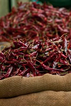 Dried chilli Stock Photos