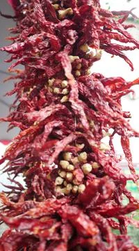 Dried chilli ready to be grounded into powder form Stock Photos