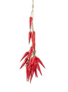 Dried chillies hanging on white background Stock Photos