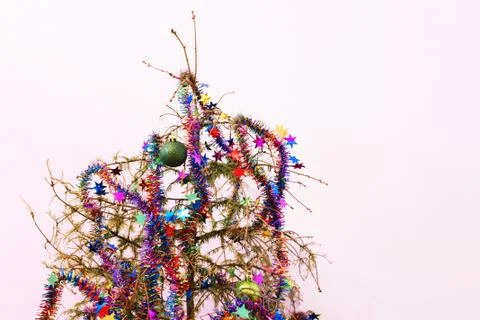 Dried up christmas tree Stock Photos