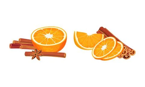 Dried Cinnamon Bark Strips or Sticks with Orange Slices Vector Set Stock-Illustration