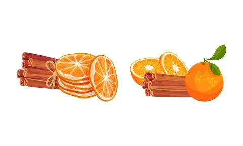 Dried Cinnamon Bark Strips or Sticks with Orange Slices Vector Set Stock-Illustration