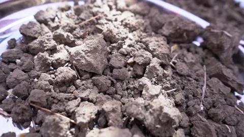 Dried Clay texture Background, Black Mud Clay Soil, Hindu puja rituals 스톡 동영상 200249907