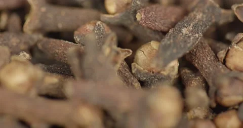 Dried cloves closeup rotating selective focus 動画素材 199090774