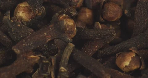 Dried cloves closeup rotating selective focus Stock Footage 199626360