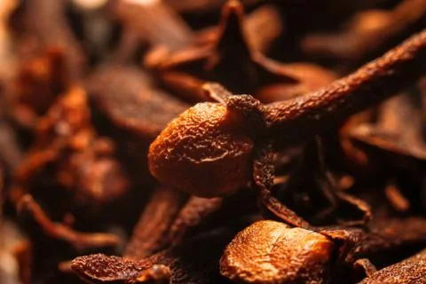 Dried cloves spice Foto stock