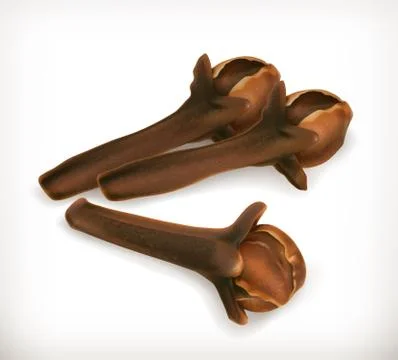 Dried cloves, vector icon Stock Illustration