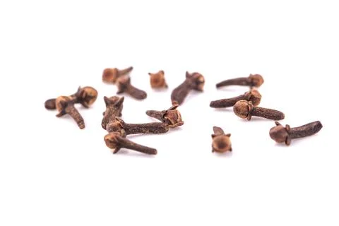 Dried cloves on white background Stock Photos
