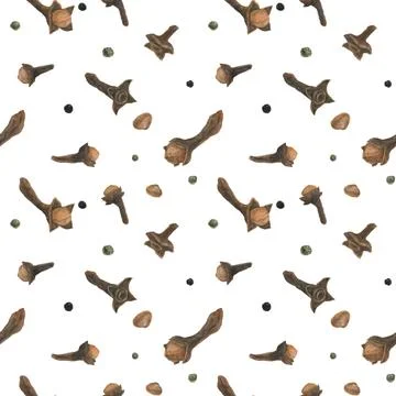 Dried cloves white seamless pattern Stock Illustration
