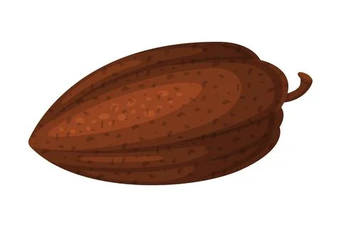 Dried cocoa bean. Chocolate dessert, drinks and pastry food ingredient cartoon Stock Illustration