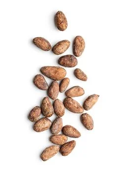 Dried cocoa beans Foto stock