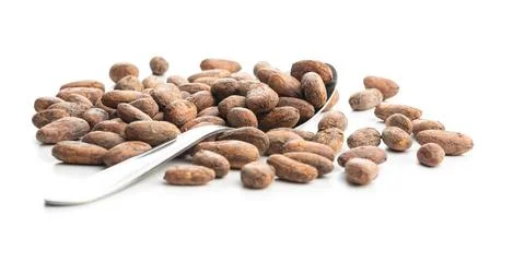 Dried cocoa beans Stock Photos