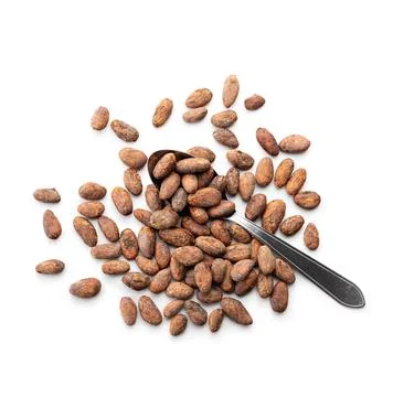 Dried cocoa beans Stock Photos