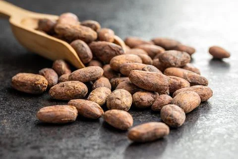 Dried cocoa beans Stock Photos