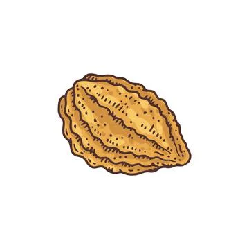 Dried cocoa fruit or bean hand drawn engraving vector illustration isolated. Stock Illustration