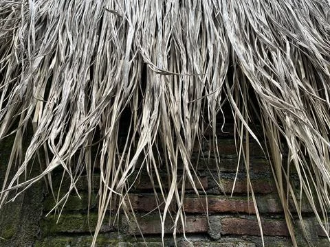 Dried coconut leaf thatch hanging in front of a weathered wall Stock Photos