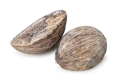 Dried coconut on white background. Foto stock