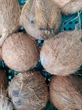 Dried coconuts in the box Stock Photos