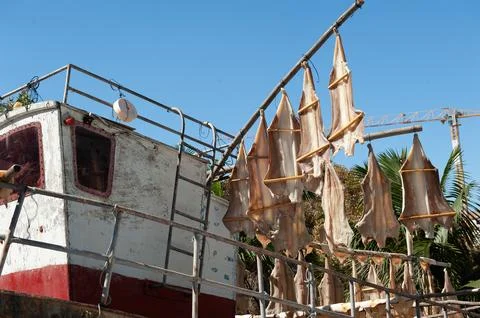 Dried Cod Fish Hanging on a Boat Structure Stock Photos