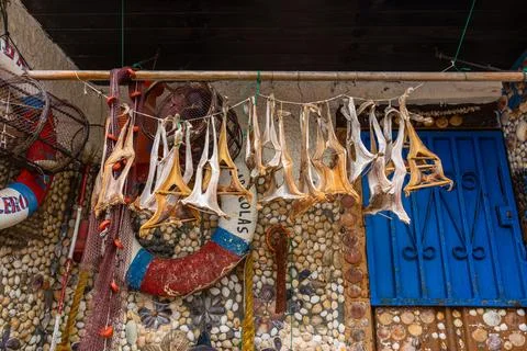 Dried cod fish hanging on seashell wall in fishing village Cudillero Stock Photos