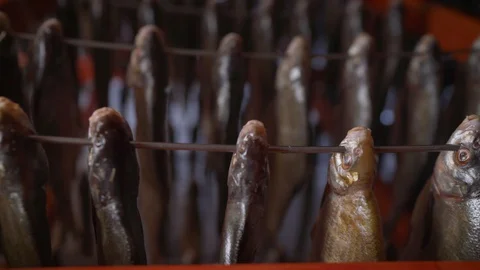 Dried cod at a Norwegian fish factory. Stock Footage 128958998