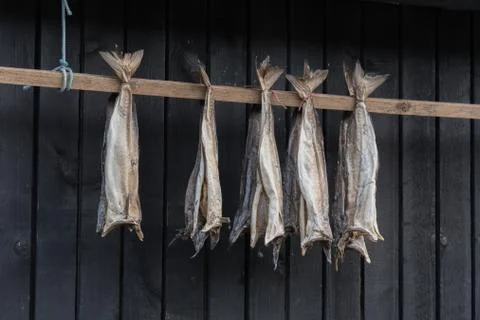 Dried cod outside a house in the Faroe Islands Stock Photos