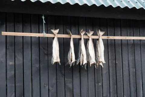 Dried cod outside a house in the Faroe Islands Stock Photos