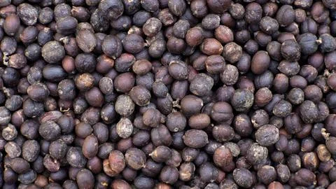 Dried Coffee Cherries Texture Background Close Up 写真素材