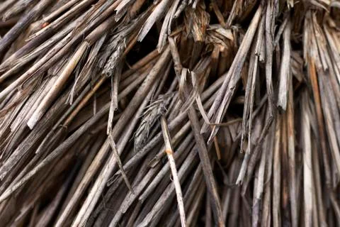 The dried colorful haystack was shot close-up Stock Photos