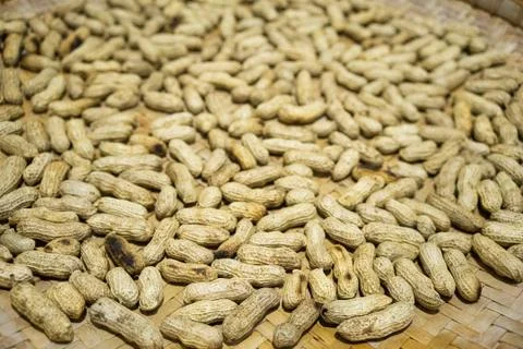 Dried Cooked Peanuts on a Bamboo Tray Stock Photos