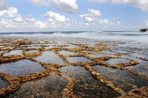 Dried coral reef patterns on shallow ocean water Stock Photos