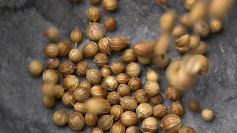 Dried Coriander Seeds Falling into Kitchen Mortar Slow Motion Stock Footage 146805800