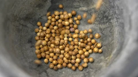 Dried Coriander Seeds Falling into Kitchen Mortar Slow Motion Video stock 146808015