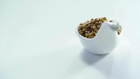 Dried coriander seeds in white ceramic spoon rotating slowly Stock-Footage 333810649